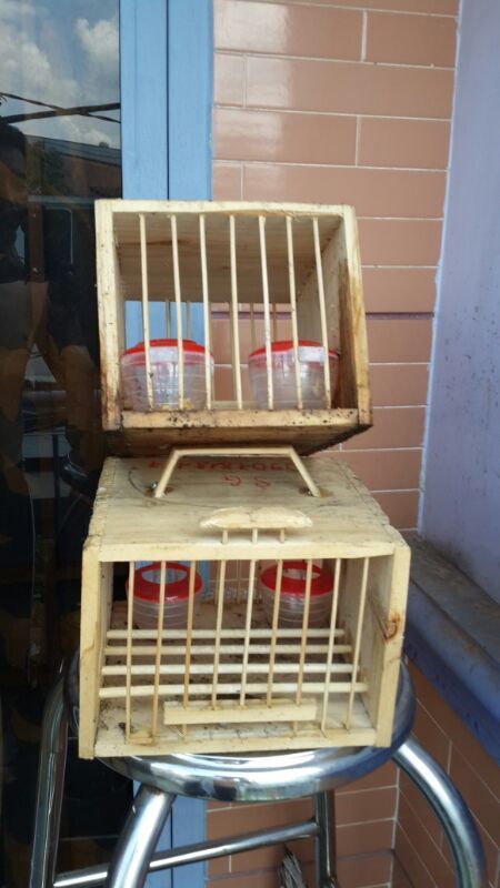 lồng đặt Vác 60 nan, mỗi nan 1 mắt tre - 1