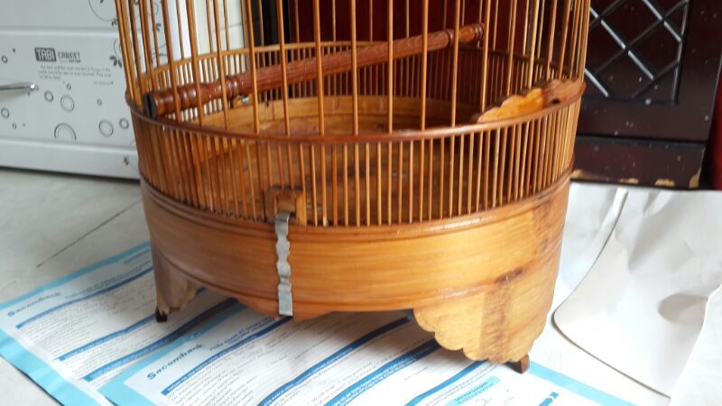 họa mi mái chiến - hộ chiến hay - 1