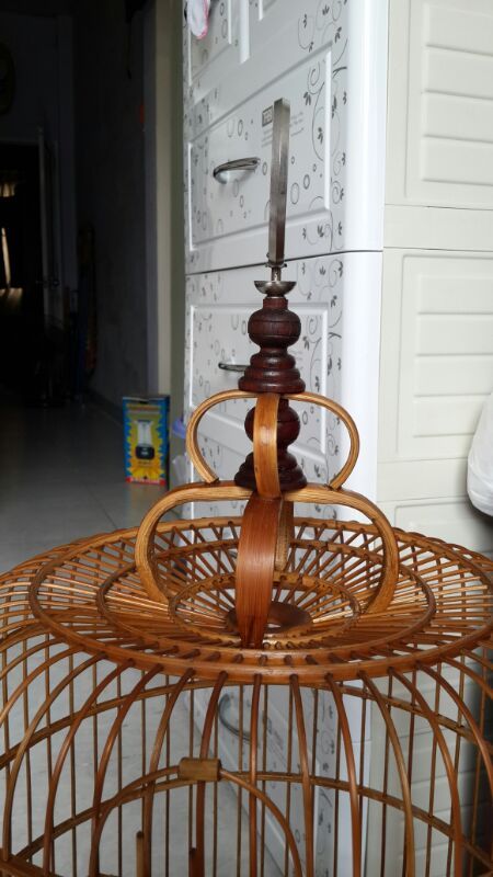 họa mi mái chiến - hộ chiến hay - 2