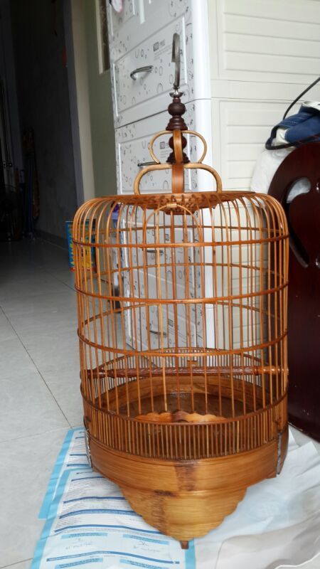 họa mi mái chiến - hộ chiến hay