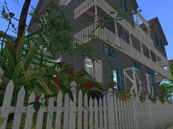 snapshot_00000009_76f60fd0.jpg
