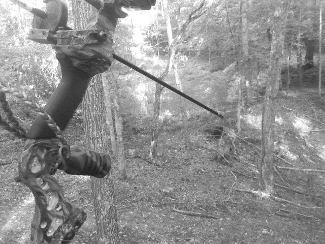 Treestand29-29-09.jpg