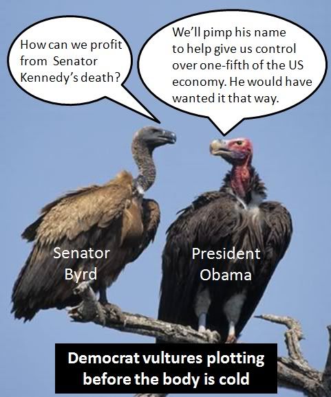 Democrat Vultures plotting after Kennedy's death
