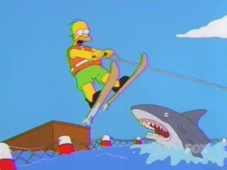 [Image: homer-jump-shark.jpg]
