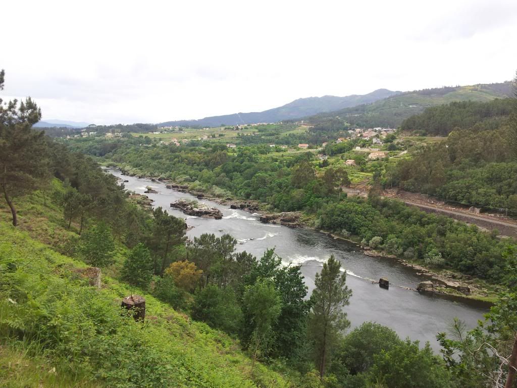 20120527_130021_zps52a569fc.jpg