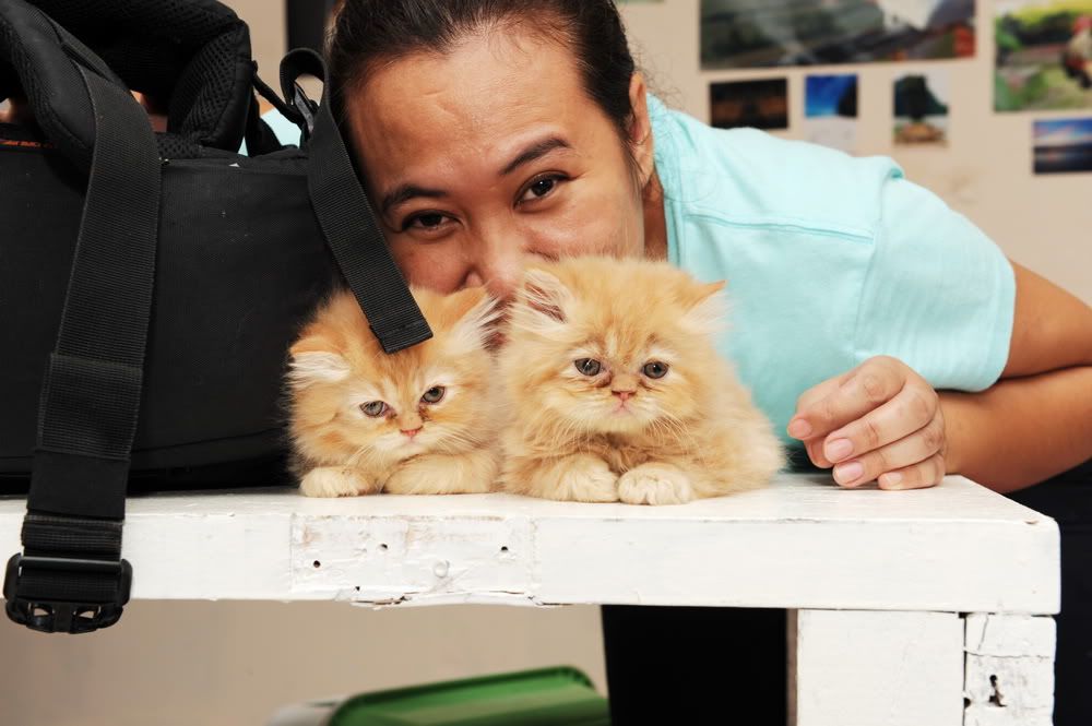 เฮ้อ แต่ก็ต้องทำใจ