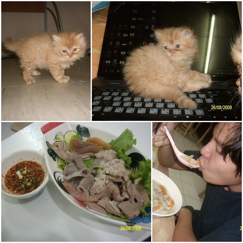 ชีวิตแม่ค้า คนเมือง ภาคต่อ