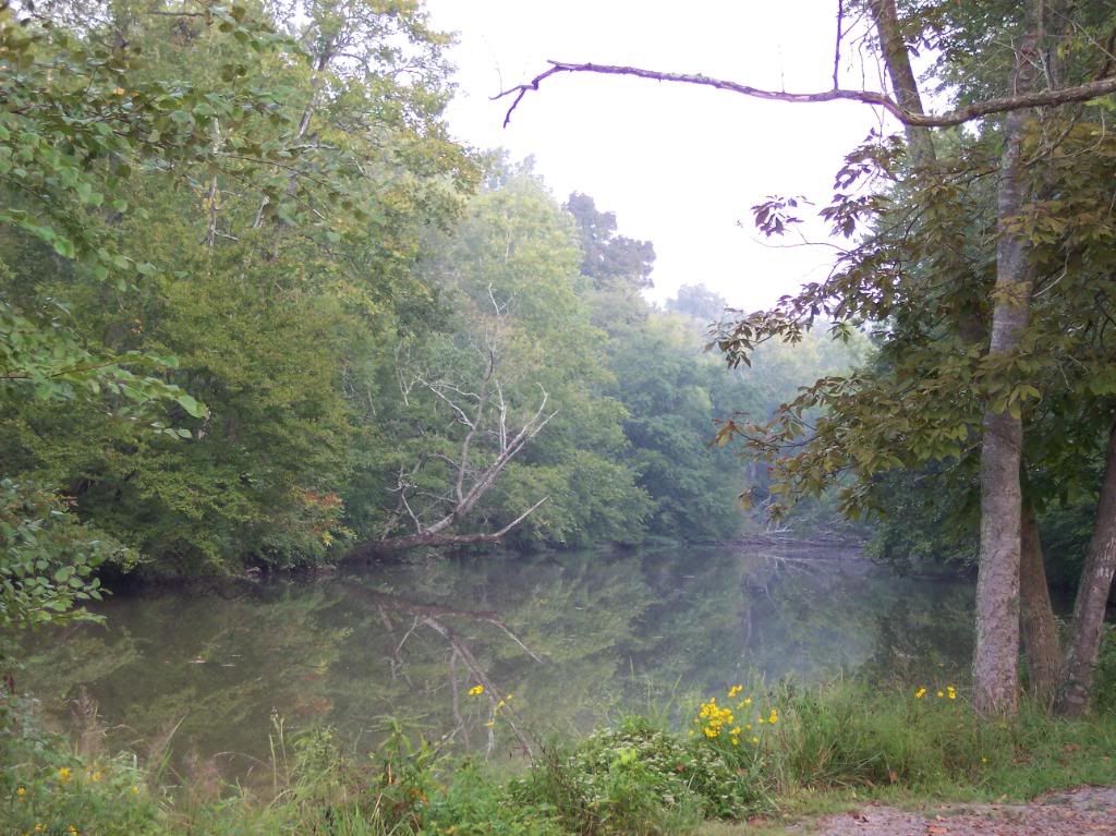 View at Prater's Mill