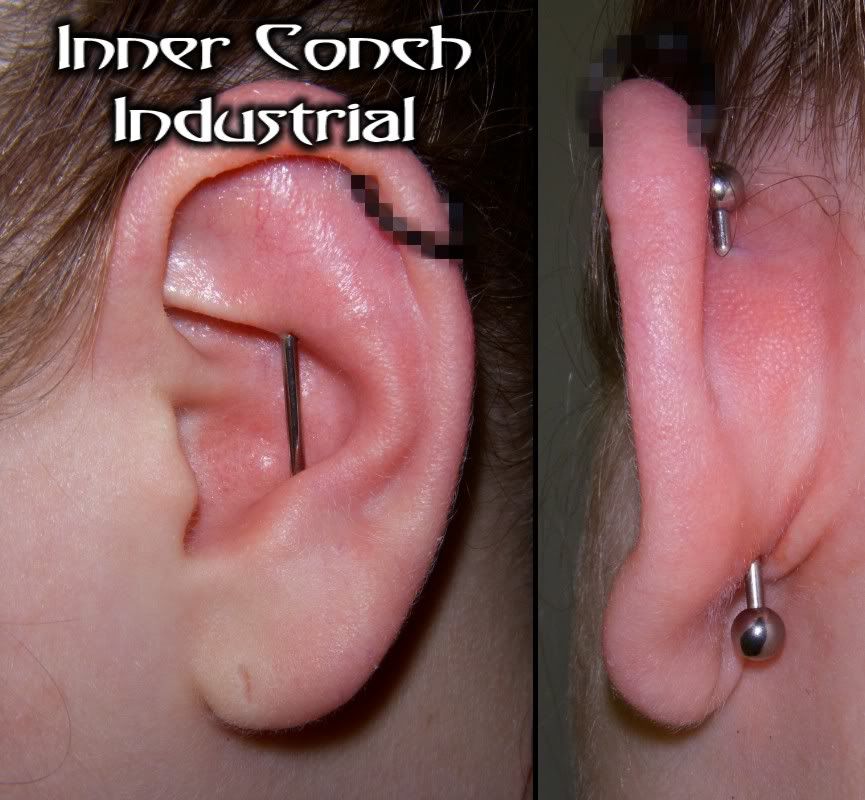 Inner Conches