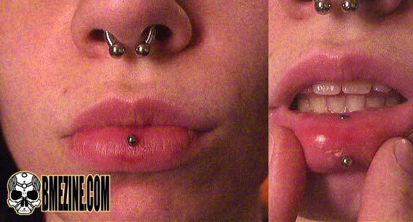 Inverse Vertical Labret (Done). Photobucket. Inner Conch Industrial