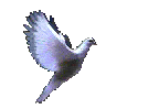 اطلع على آخر مُساهمة اطلع على آخر مُساهمة