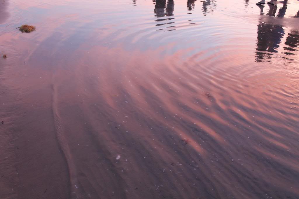 the beach nebula in bloom