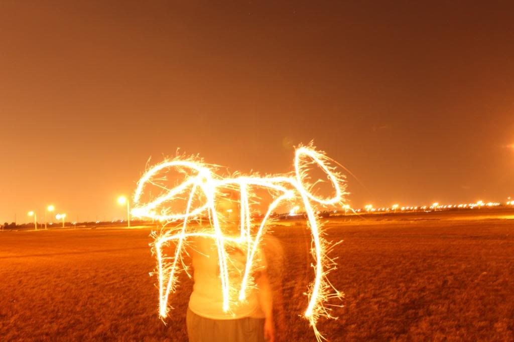 sparklers/ fourth of july nebula in bloom