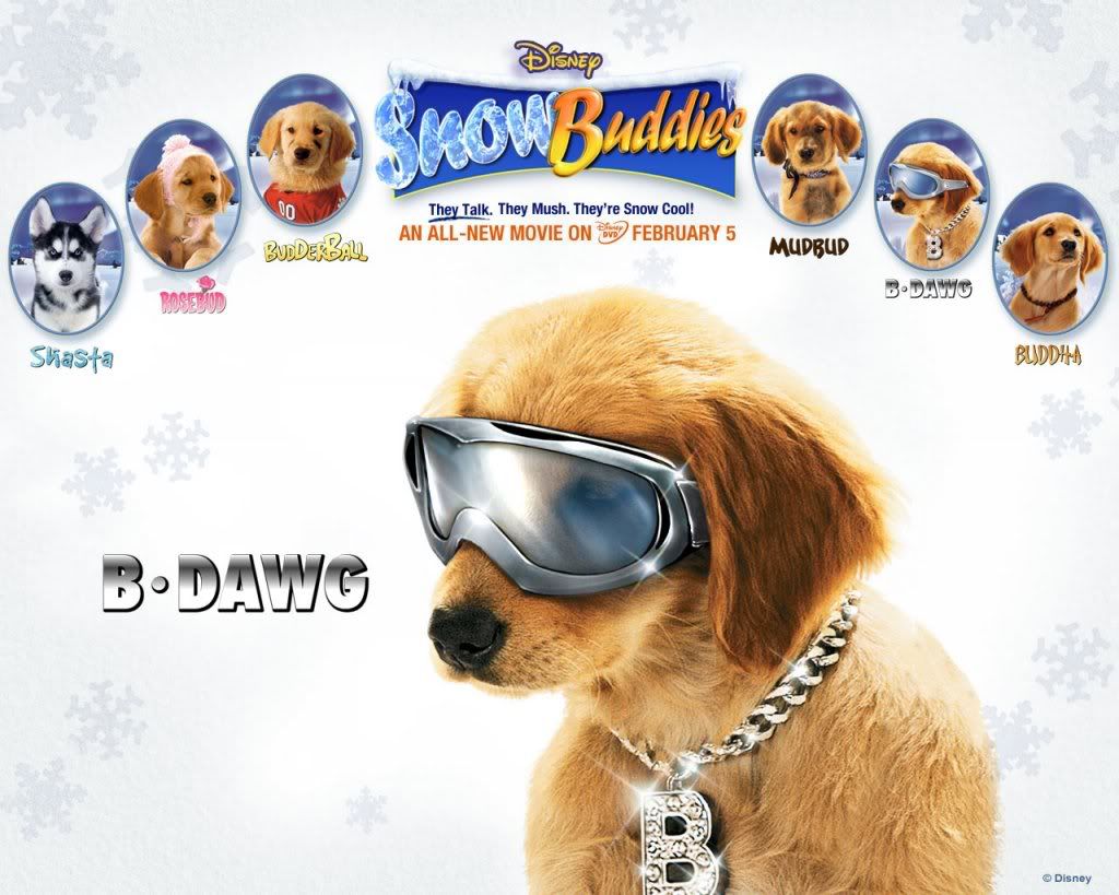Copyofsnow_buddies_bdawg.jpg