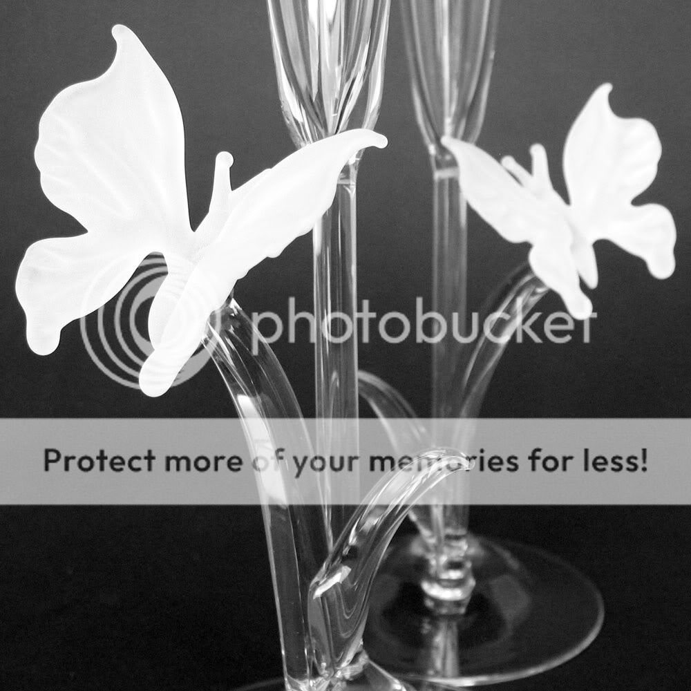 Butterfly Champagne Flutes Crystal Toasting Glasses  