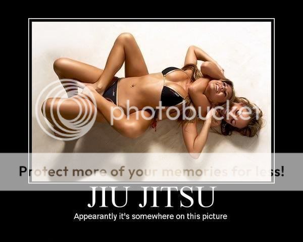 http://i651.photobucket.com/albums/uu239/fishingstew/Jiu-Jitsu_Poster_funny.jpg